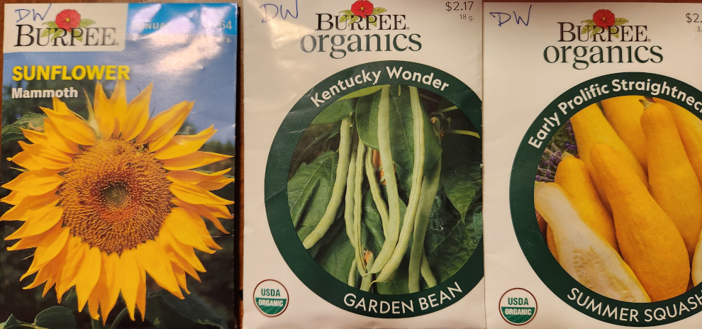 Seed packets of Mammoth sunflower, Kentucky Wonder pole beans, and Early Prolific summer squash.