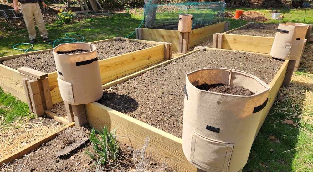 On a sunny day, the beds before they have frames